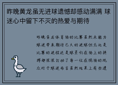 昨晚黄龙虽无进球遗憾却感动满满 球迷心中留下不灭的热爱与期待